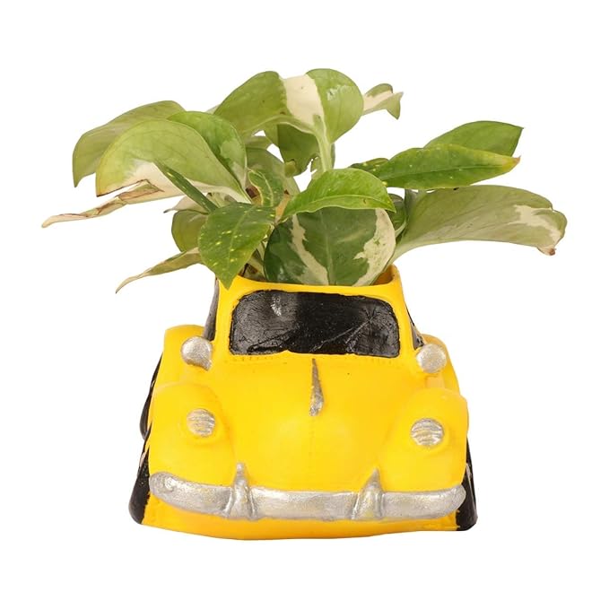 Yellow Small Car Planter