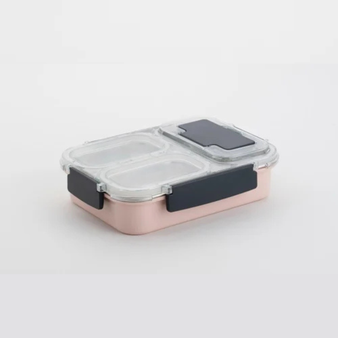 HOME LANE Stainless Steel Lunch Box
