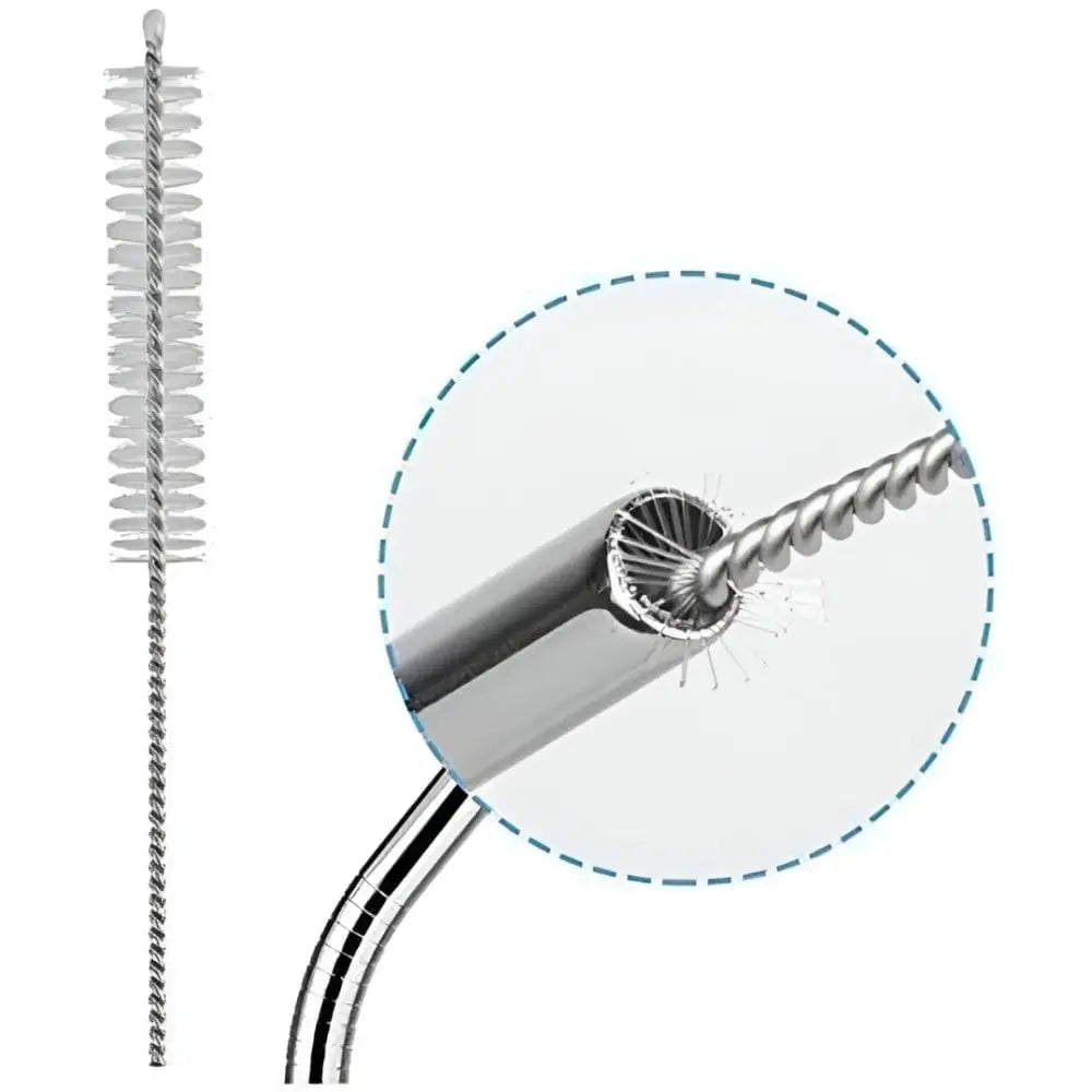 HOME LANE Stainless Steel Straw Set with Brush
