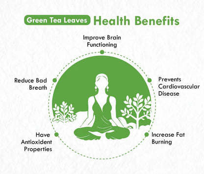 Freshville Green Tea Bags