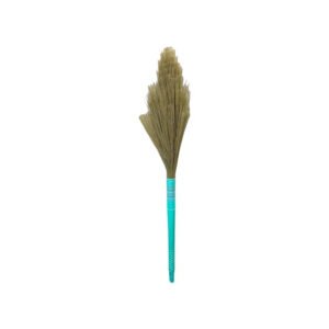 Home lane broom