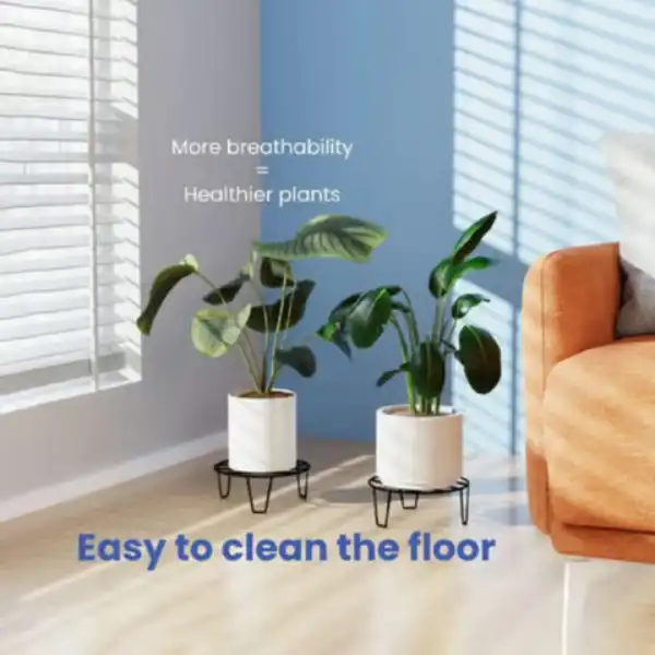 Metal plant stands improve indoor display