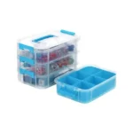 Transparent organizer with removable compartment tray