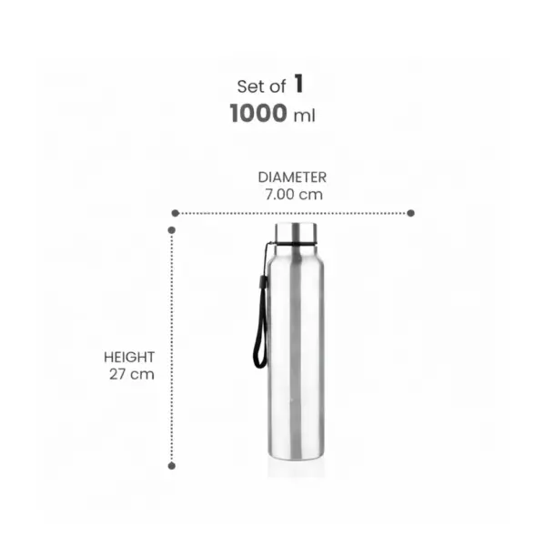 Home Lane Alpha stainless steel water bottle with solid silver finish