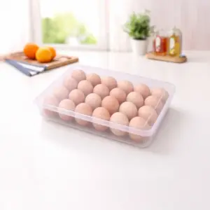 Home Lane plastic 24 grid egg storage box for organized refrigerator storage