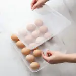 Home Lane plastic egg organizer with 24 grid compartments for safe and neat storage