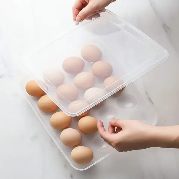 Home Lane plastic egg organizer with 24 grid compartments for safe and neat storage