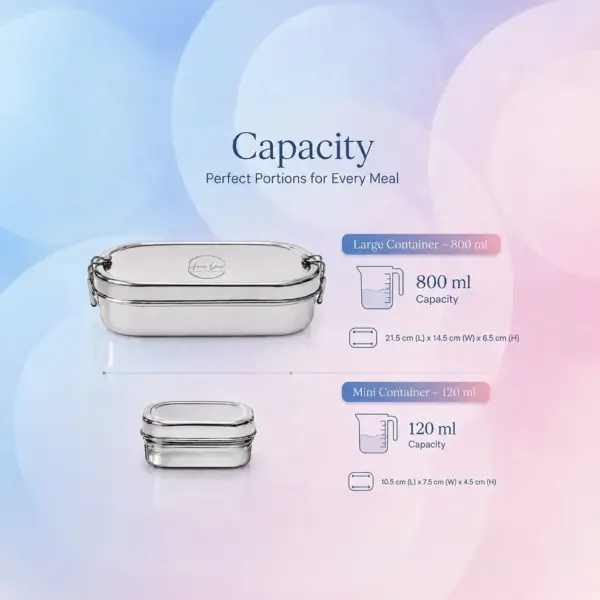 Home Lane mirror finish steel meal carrier with secure side locks